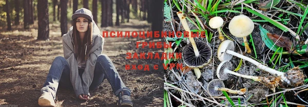 мескалин Бородино